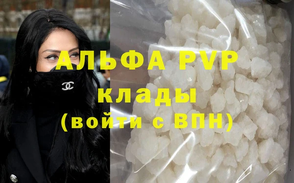 СК Белокуриха
