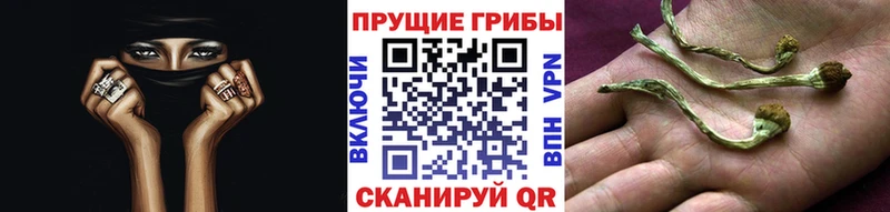 Галлюциногенные грибы GOLDEN TEACHER  закладка  Окуловка 
